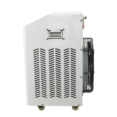 AC100 - 127V διπλό Temp ψυγείο θερμαστρών λιμνών για την υδροθεραπεία